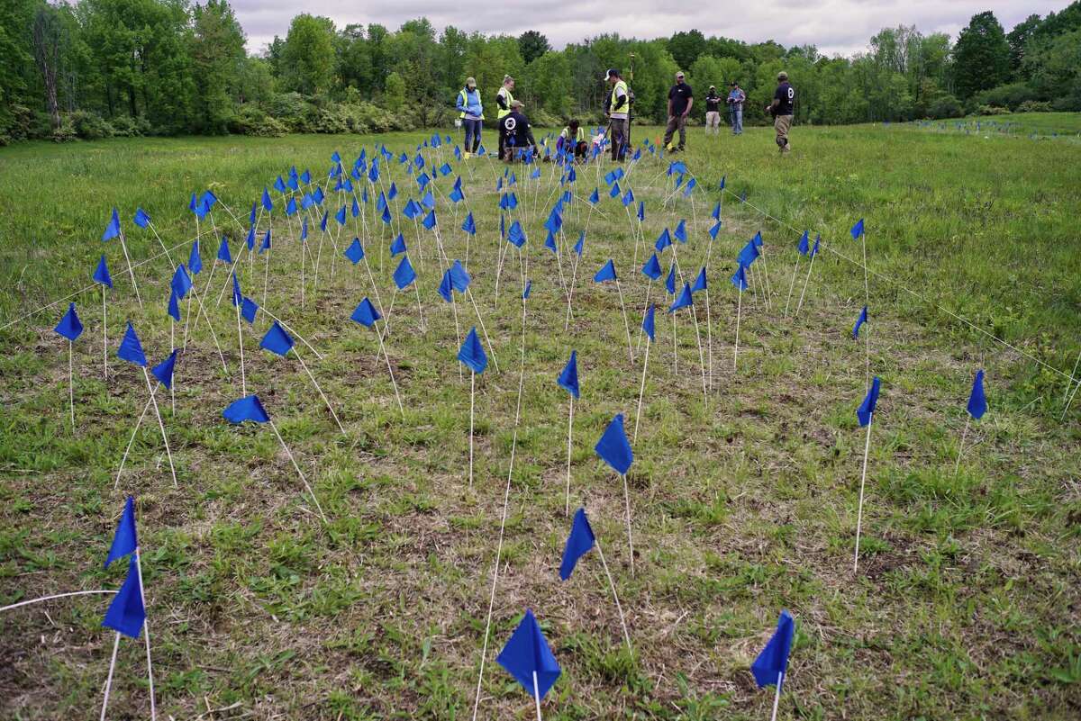 Veterans with American Veterans Archaeological Recovery (AVAR) along with students from Sacred Heart University and National Park Service staff take part in an archaeological survey of the Barber's wheat field at the Saratoga National Historical Park, on Wednesday, May 29, 2019, in Stillwater, N.Y. The flags mark a spot where a metal detector found something in the soil and will be dug up to see what is there. Barber's wheat field was the site of the second battle of Saratoga that took place on Oct. 7, 1777. (Paul Buckowski/Times Union)
