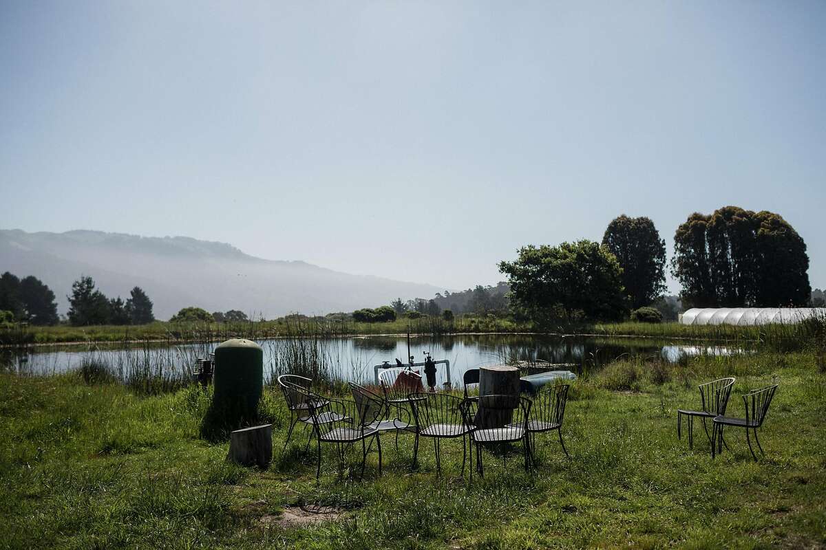 The outdoor eating area shared by Shao Shan Farm and their neighbors on May 2, 2019.