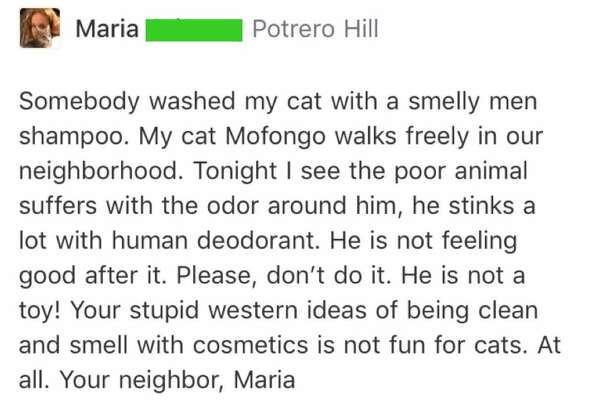 The Best Of Bay Area Nextdoor From Backyard Fight Clubs To