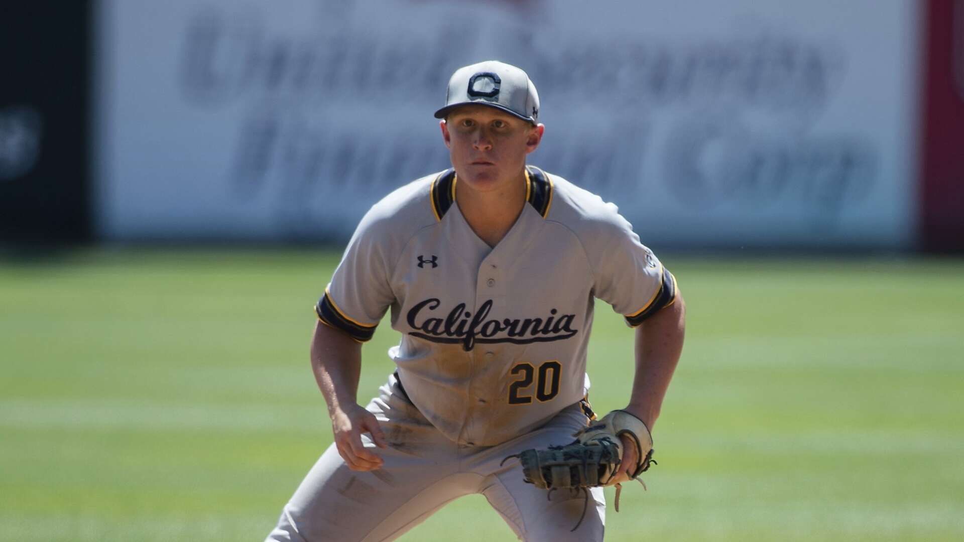 Cal's Andrew Vaughn a finalist for Golden Spikes Award, which he
