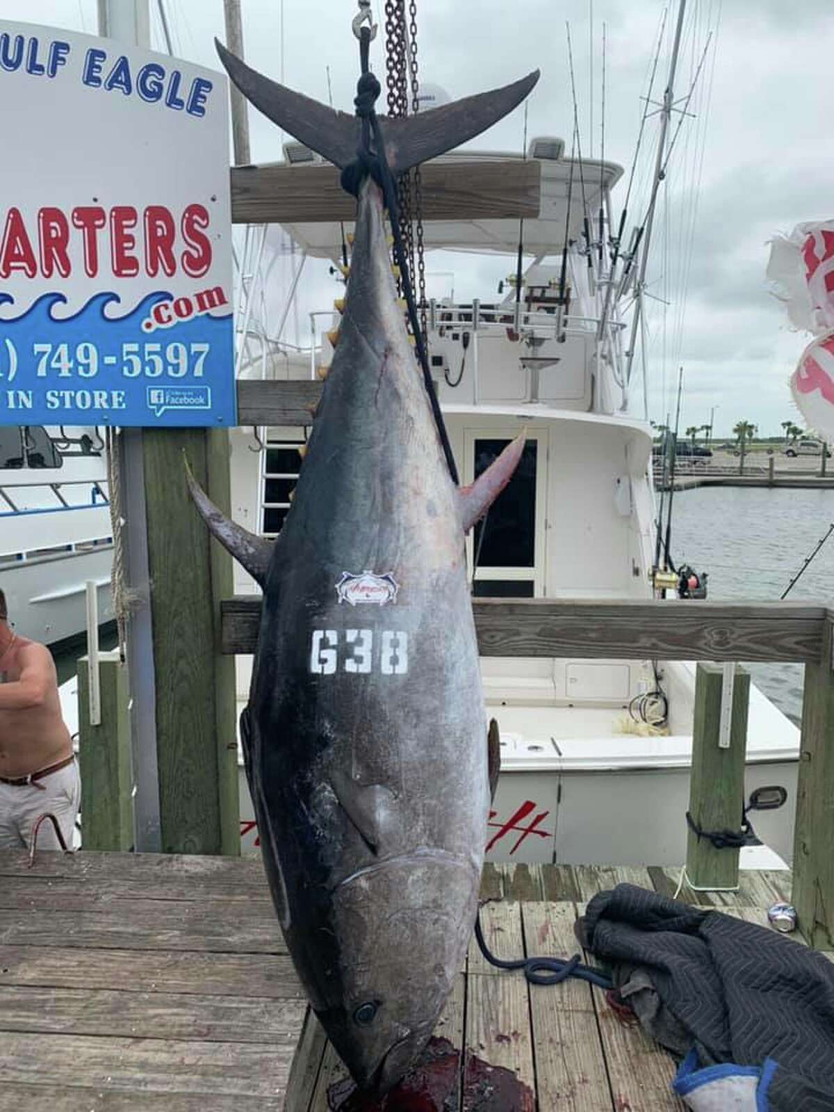 A 638-pound tuna was landed off the Gulf Coast. (Photo by Deep Sea Headquarters)