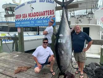 Rare Bluefin Tuna Caught Off The Texas Gulf Coast Houston Chronicle