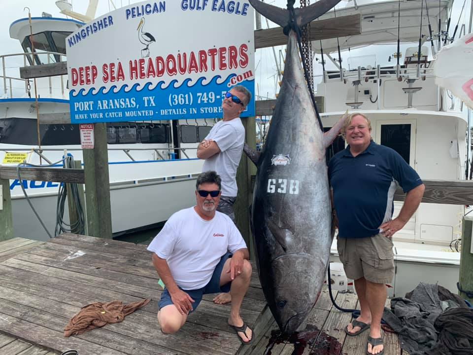 Rare bluefin tuna caught off the Texas Gulf Coast Houston Chronicle