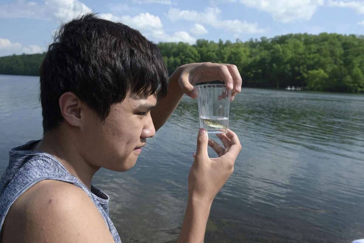 Students at St. Joseph in Brookfield release trout into Lake Lillinonah