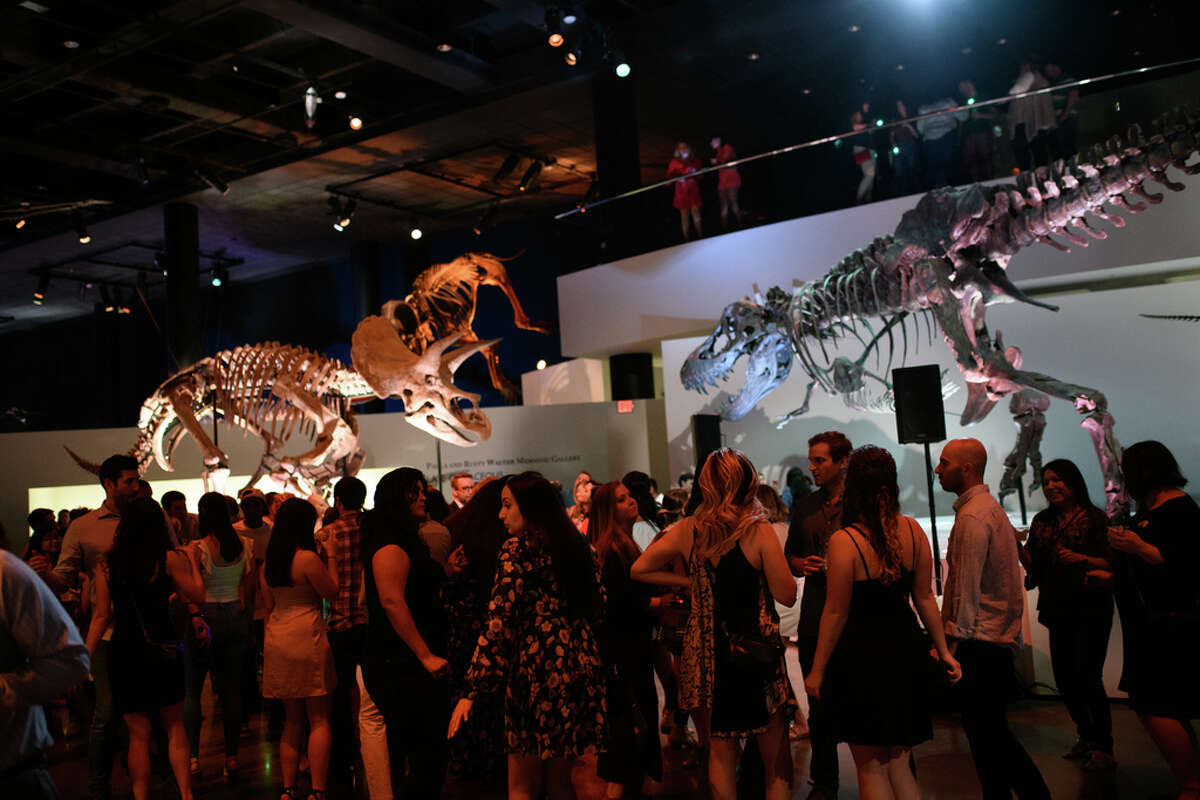 Guests party with dinosaurs at Houston Museum of Natural Science's
