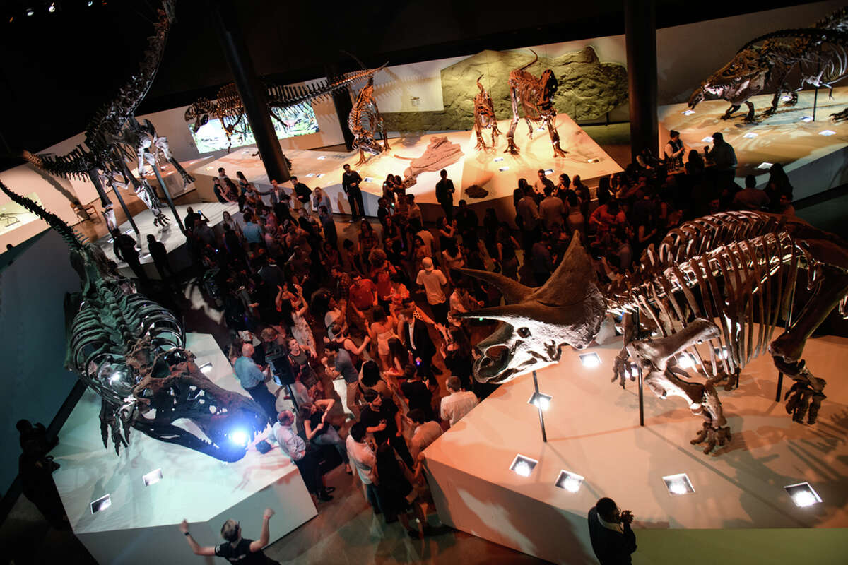 Guests party with dinosaurs at Houston Museum of Natural Science's