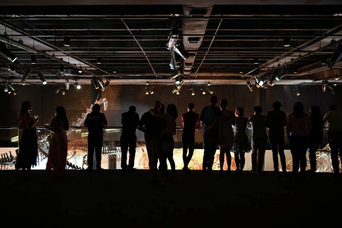 Guests party with dinosaurs at Houston Museum of Natural Science's