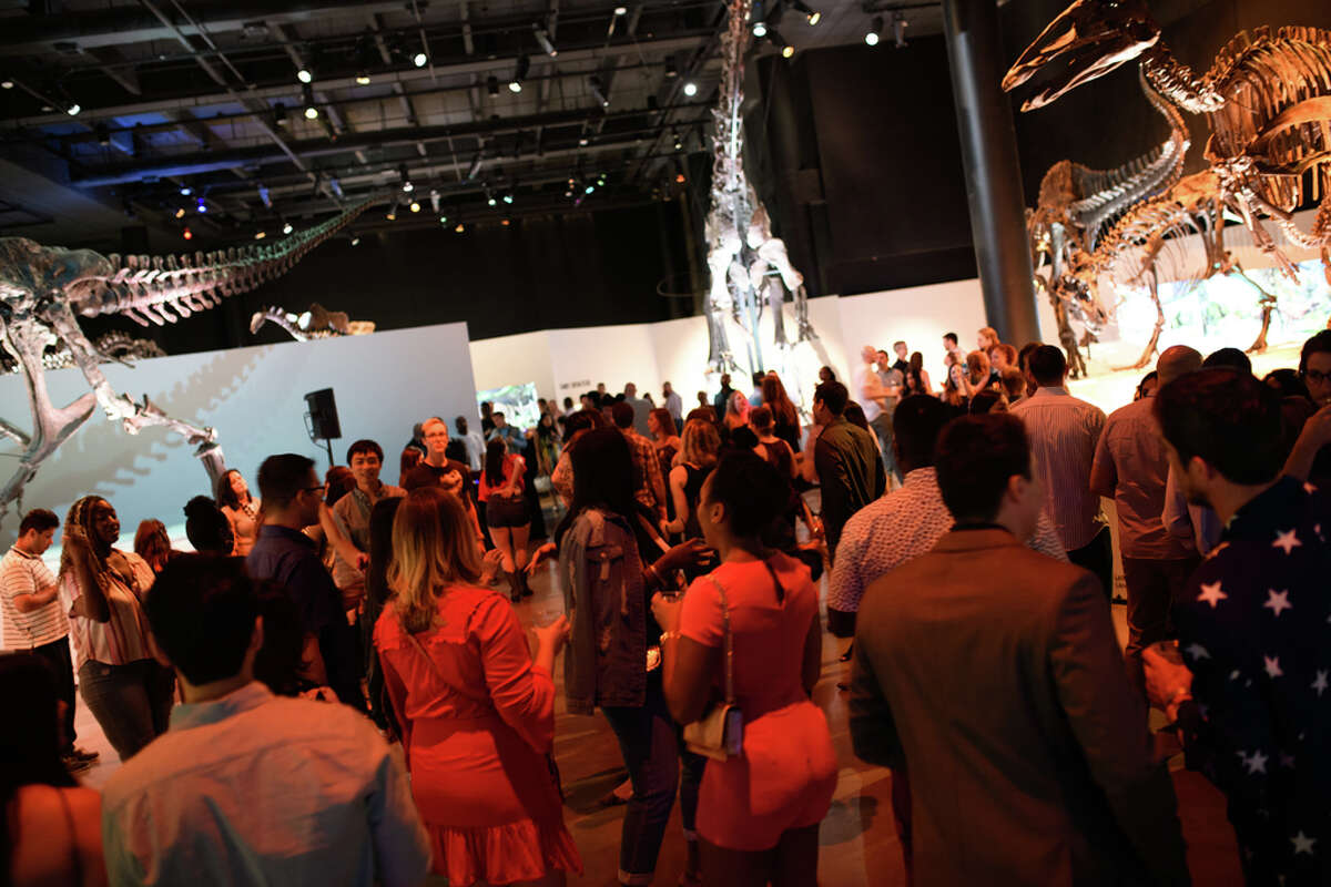 Guests party with dinosaurs at Houston Museum of Natural Science's