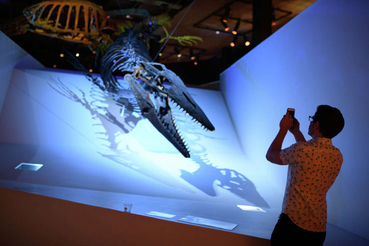 Guests party with dinosaurs at Houston Museum of Natural Science's