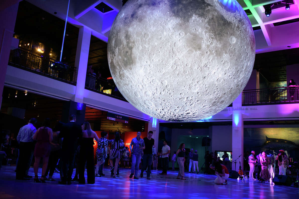 Guests party with dinosaurs at Houston Museum of Natural Science's