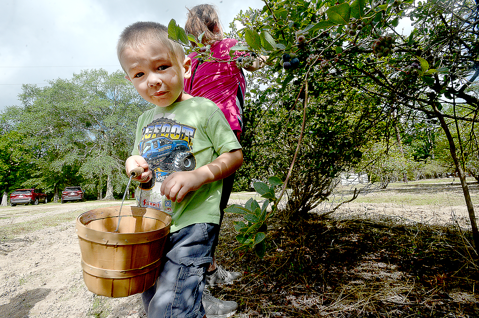 Explore one of the largest blueberry farms in SE Texas