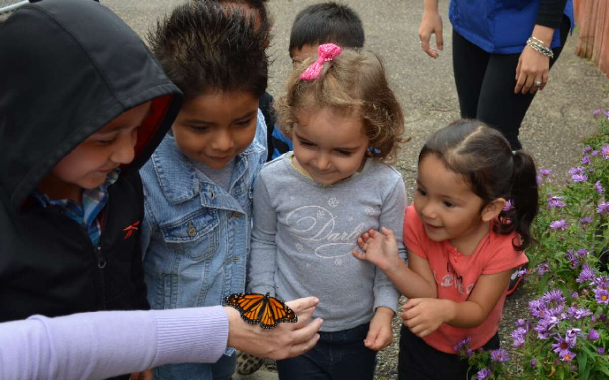 Children in the Mercy Learning Center’s day care program release the monarch butterflies that they watched hatch from eggs earlier this year. — Submitted photo
