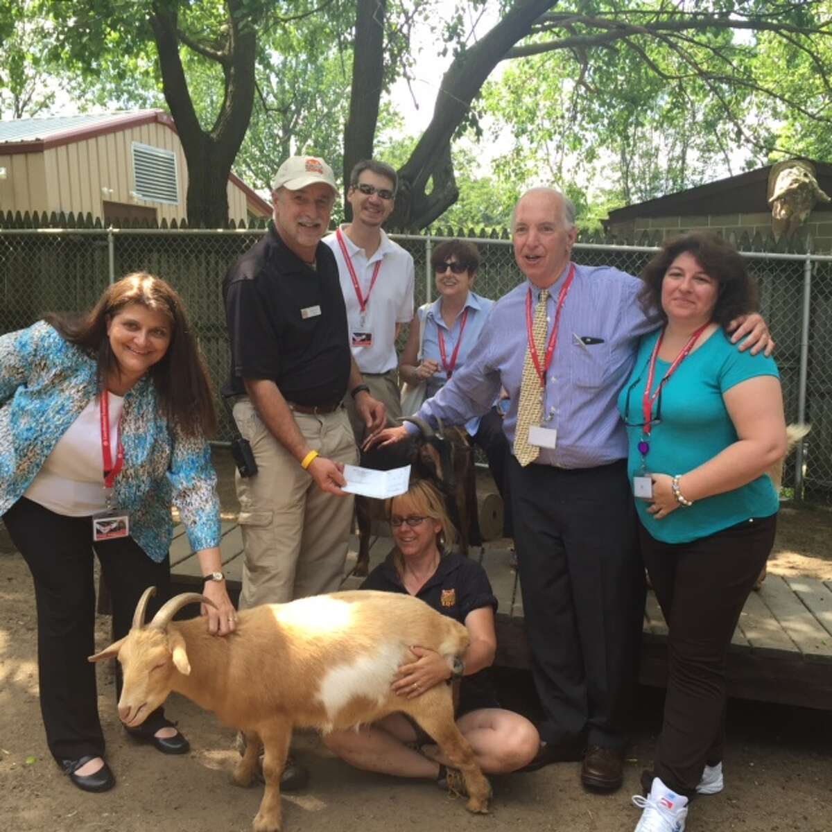 CTS employees gather around a goat the Beardsley Zoo.
