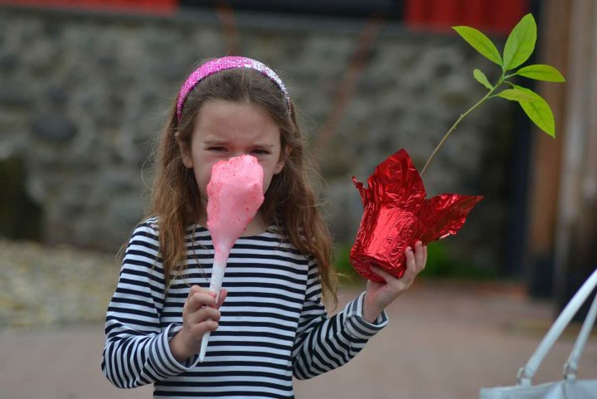 Samantha Maist takes time out to bite into her cotton candy after buying a plant Mother's Day Plant Sale. — Lisa Romanchick photo