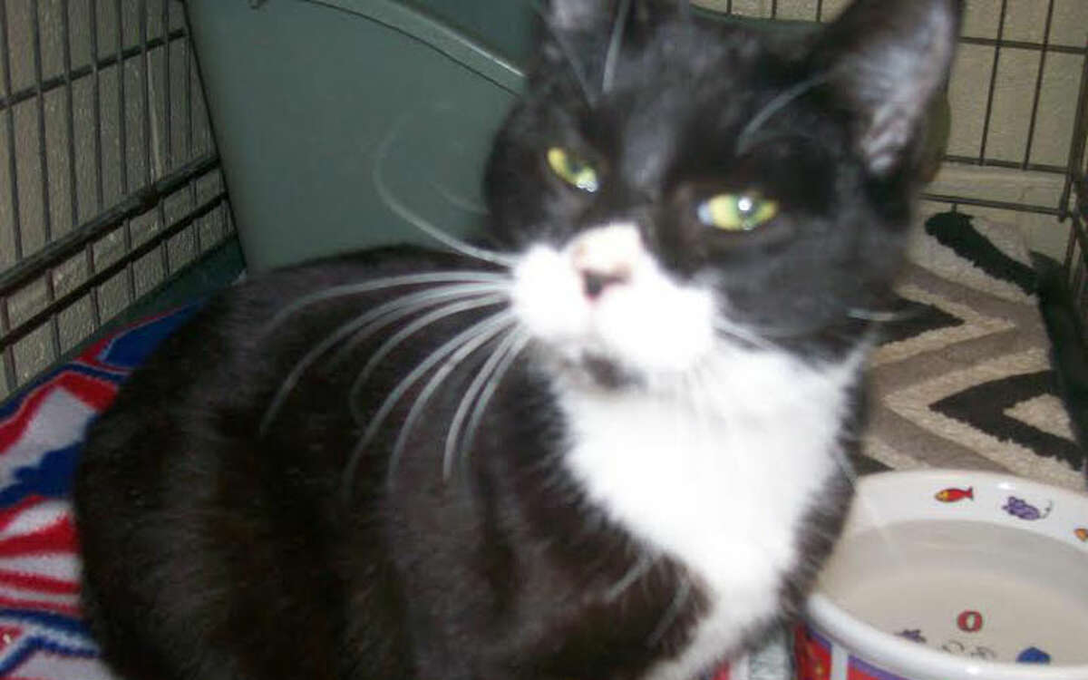 Milton