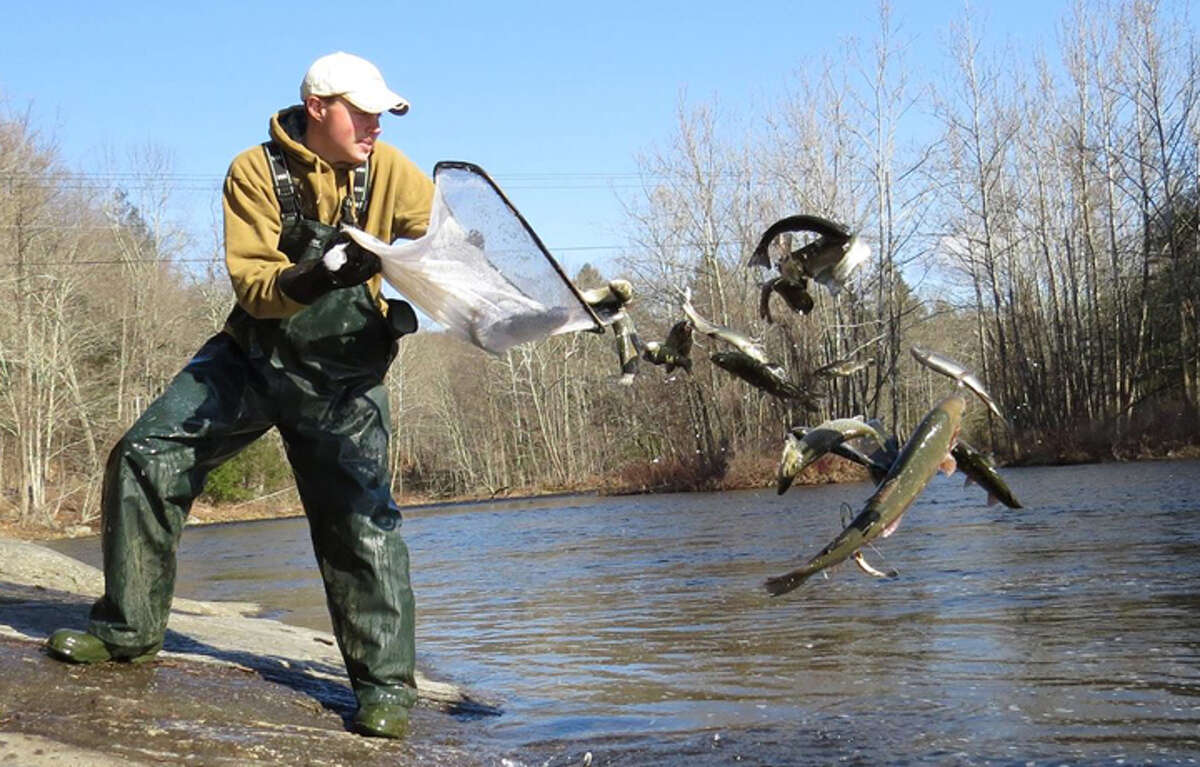 Trumbull officials have reached a solution that will keep trout stocked in local water by the Connecticut Department of Energy and Environmental Protection. — Connecticut DEEP photo