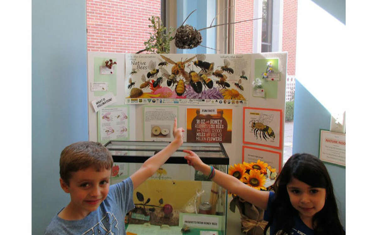 Sam Kellogg and Abby Procaccini point out their favorite part of the display, the wasp nest at the Nature Nook, a project of the Long Hill Garden Club.