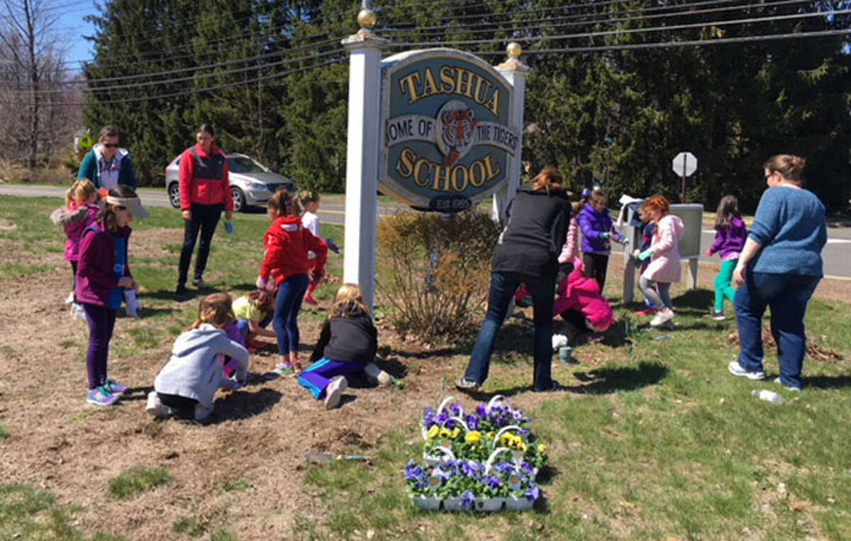 Tashua Elementary School Girl Scout Troops join forces for Earth Day