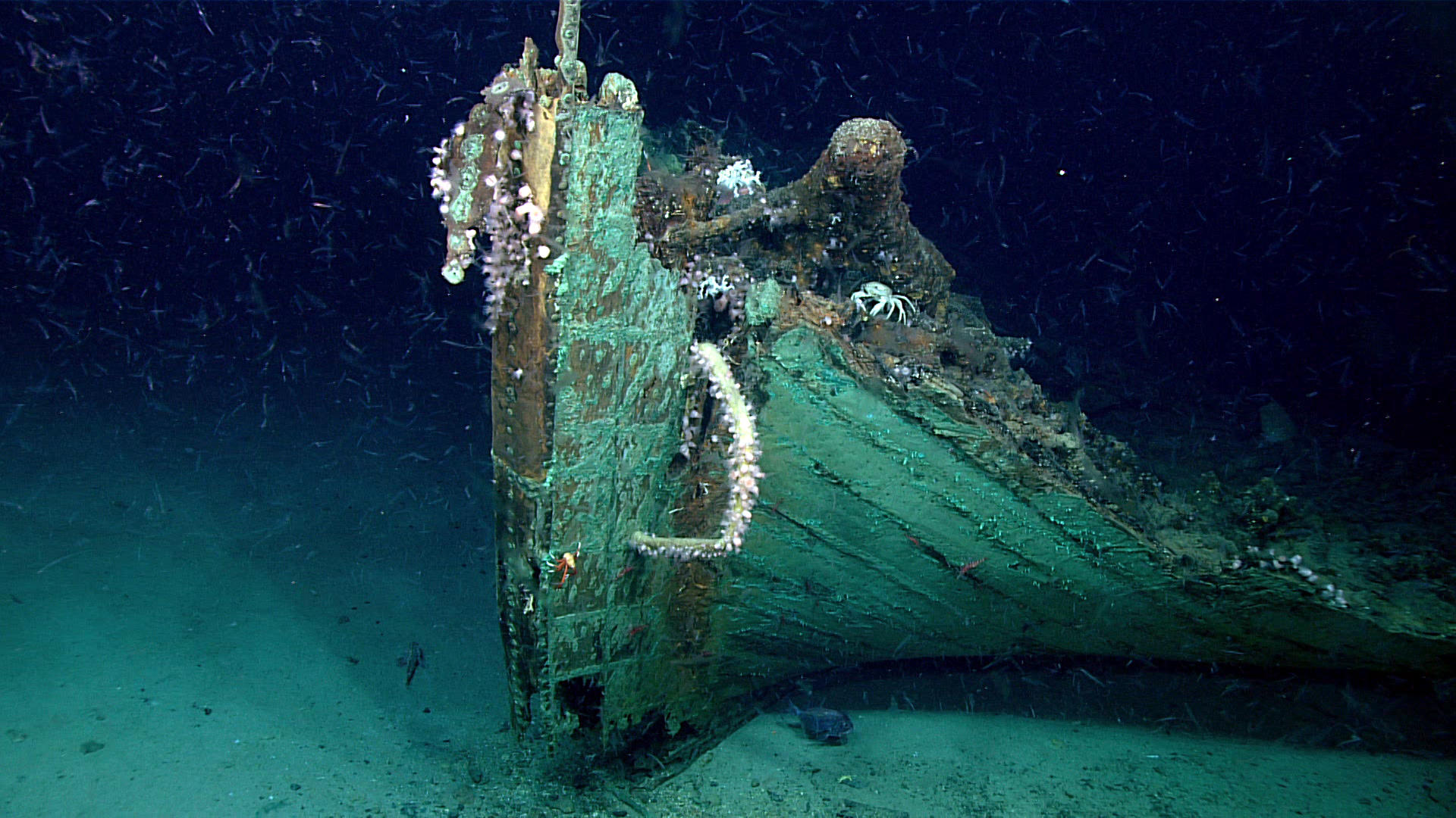 NOAA Ship Okeanos Explorer shipwreck discovery May 2019