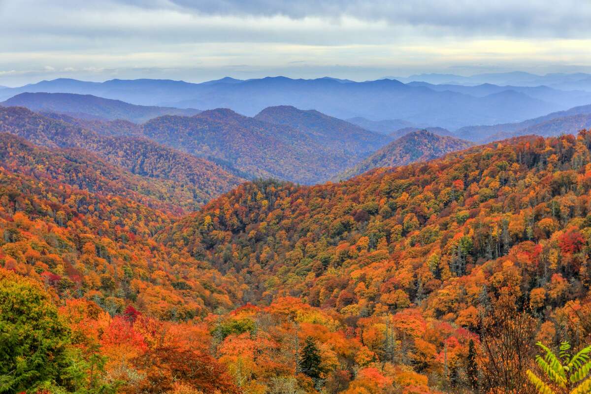 Great Smoky Mountains National Park North Carolina and Tennessee  Visitors: 11.4 million per year Where to camp free: Dispersed camping at Harmon Den on the northeast side of the park or anywhere in Pisgah National Forest