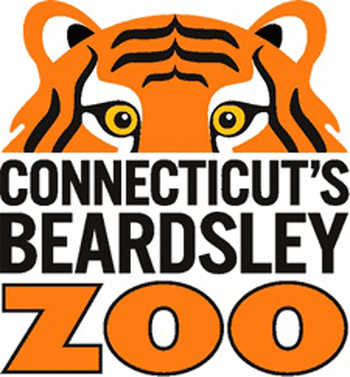 Camels will be at Beardsley Zoo this summer