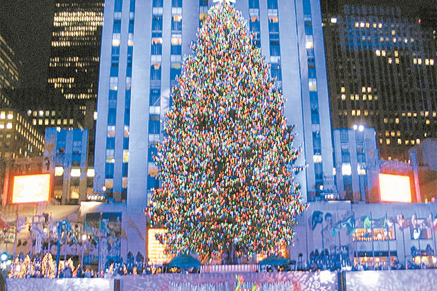 Shelton Tree In Limelight At Rockefeller Center Lighting
