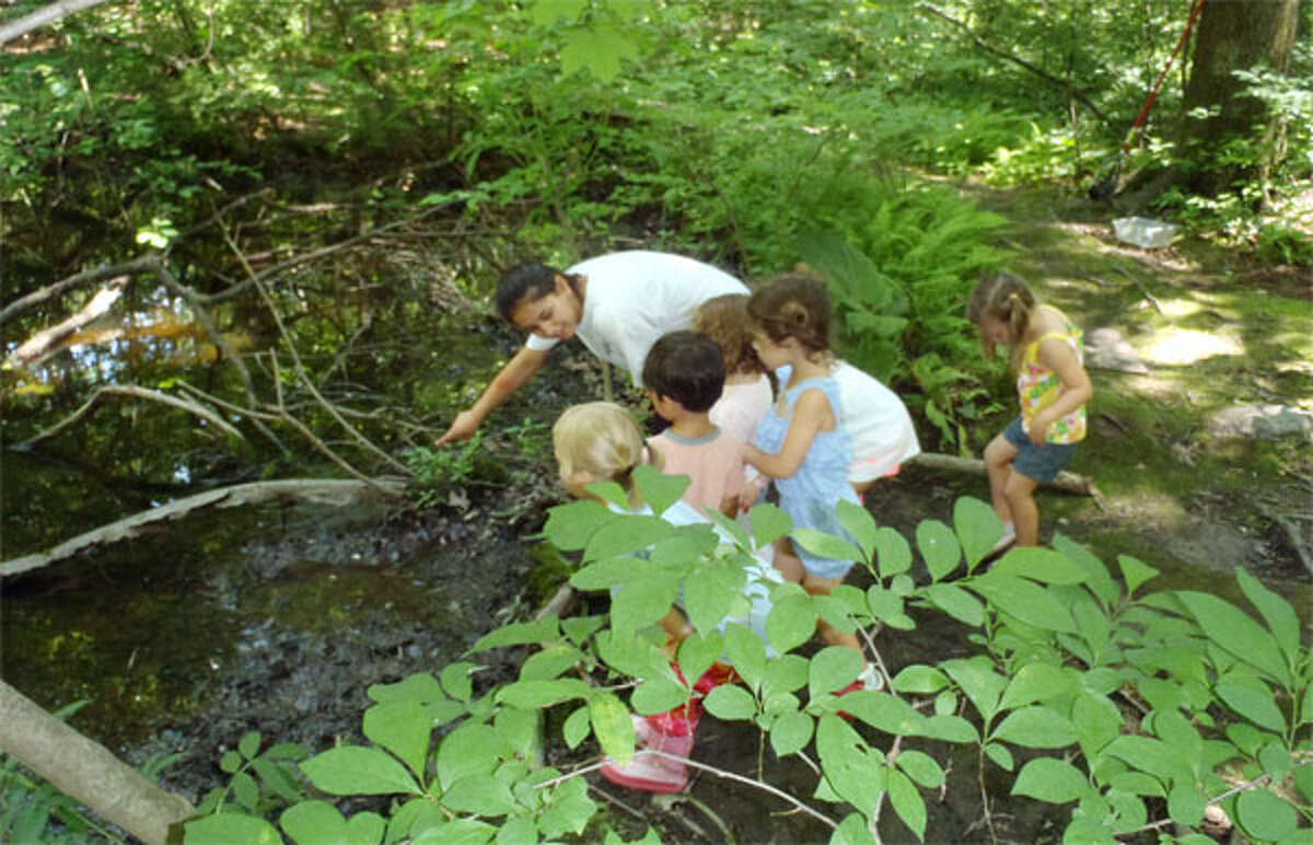 Participants learn about nature during Webb Mountain Discovery Zone’s first summer program.