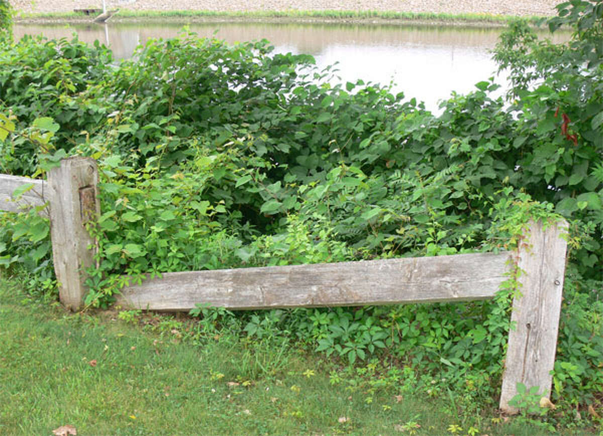Many parts of the Riverwalk wooden fence now are missing or damaged. The city has approved funds to replace the fence.