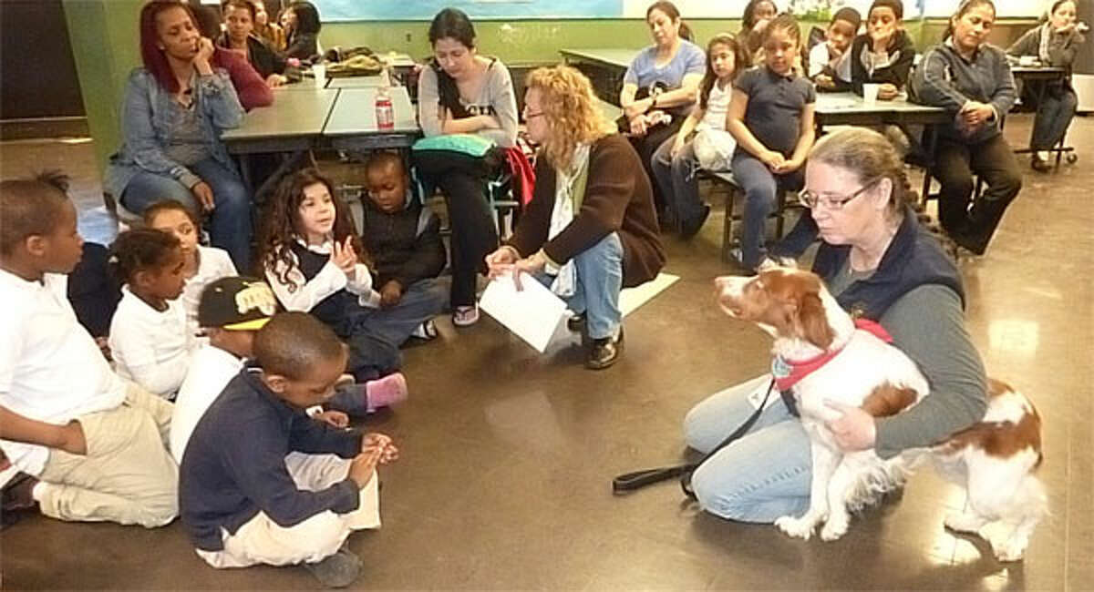 The Doggie Safety Education crew at Multicultural Magnet School in Bridgeport. Shown here is Laura Wells, holding some papers, and Dona Campbell with her registered therapy dog, Hanna, explaining dog care to the students.