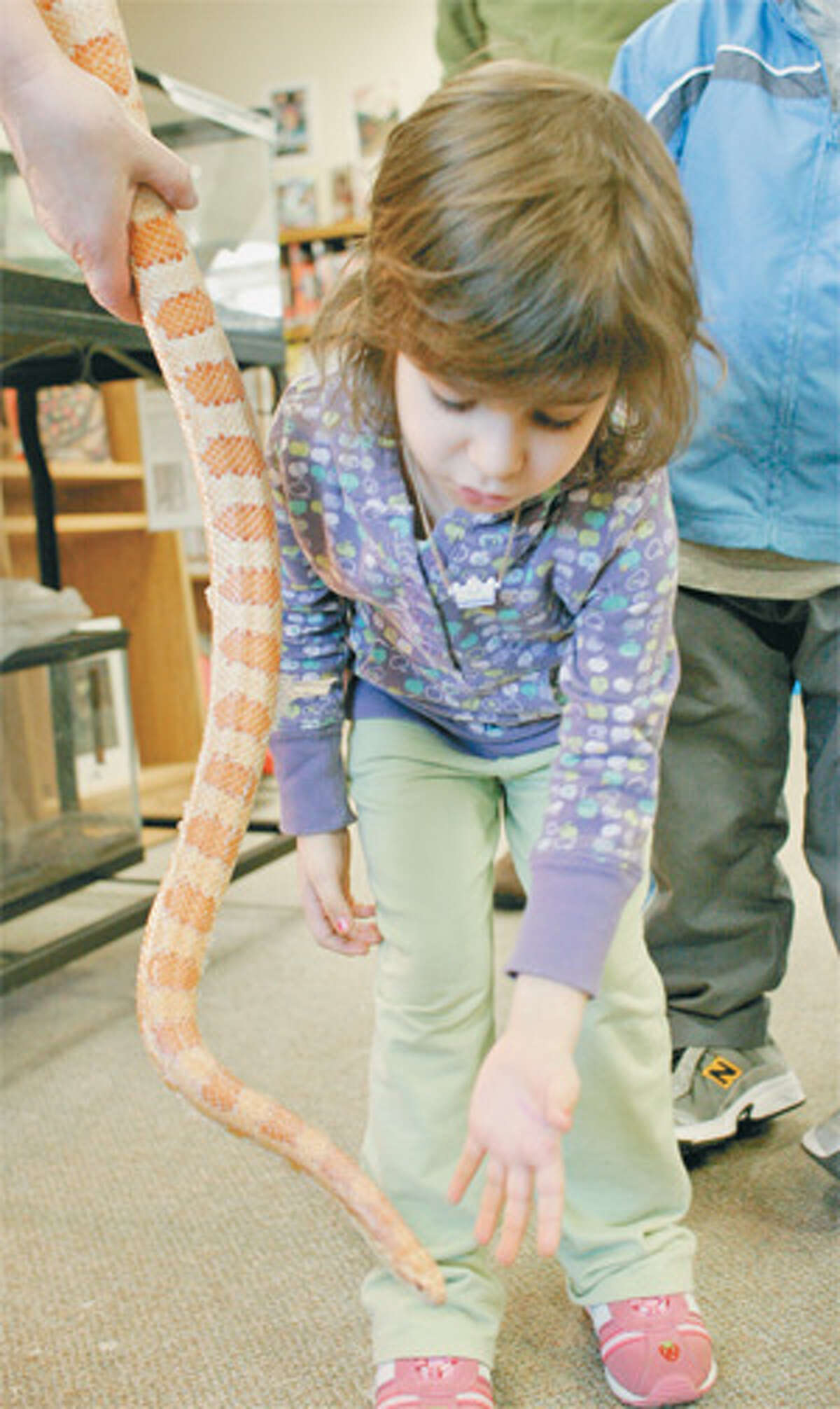 Peaches the pet snake was popular with Huntington Branch Library patrons, especially youngsters. (Shelton Herald 2008 file photo)