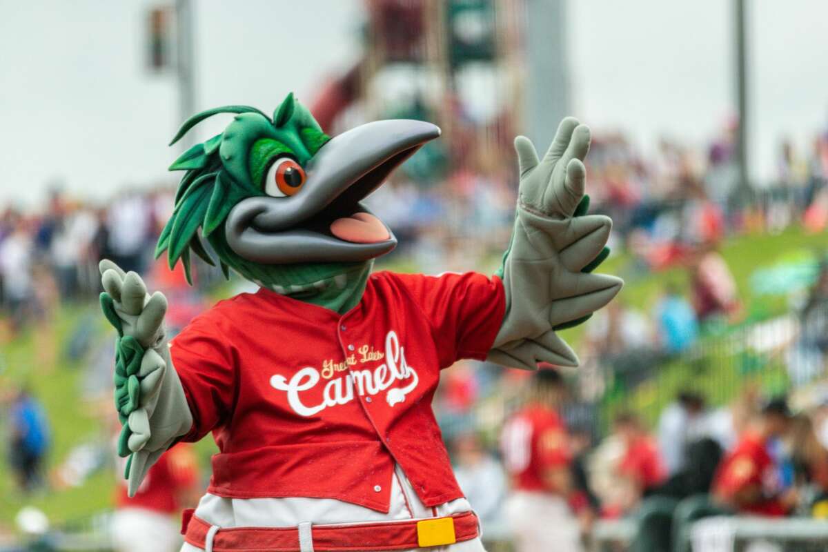 The Great Lakes "Camels" beat the Lansing Lugnuts in a School Kids Day game at Dow Diamond on Wednesday, June 5.