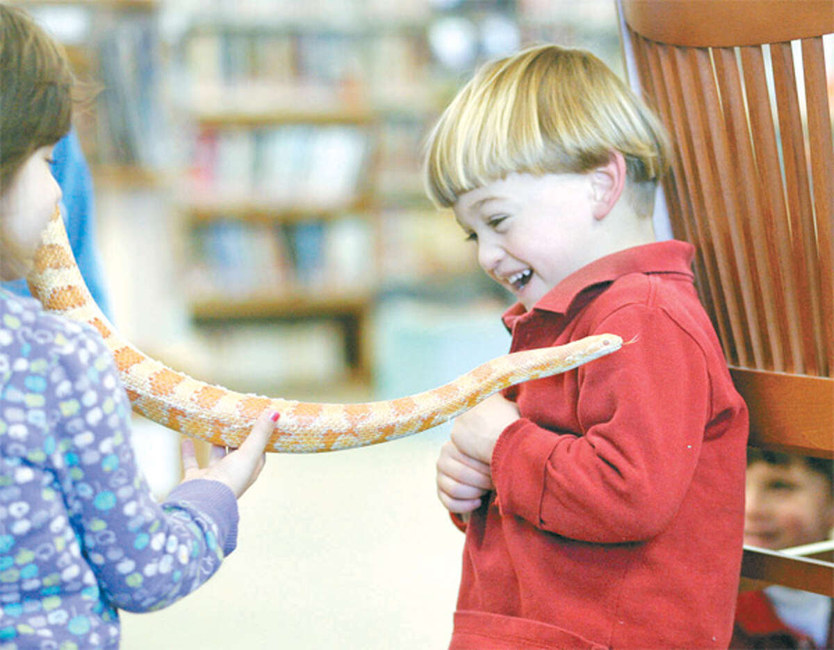 Peaches the pet snake was popular with Huntington Branch Library patrons, especially youngsters. (Shelton Herald 2008 file photo)