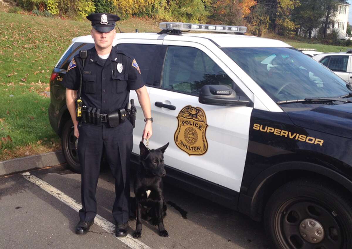 Stryker, the Shelton Police Department’s new K-9, with handler and police officer Dan Loris.