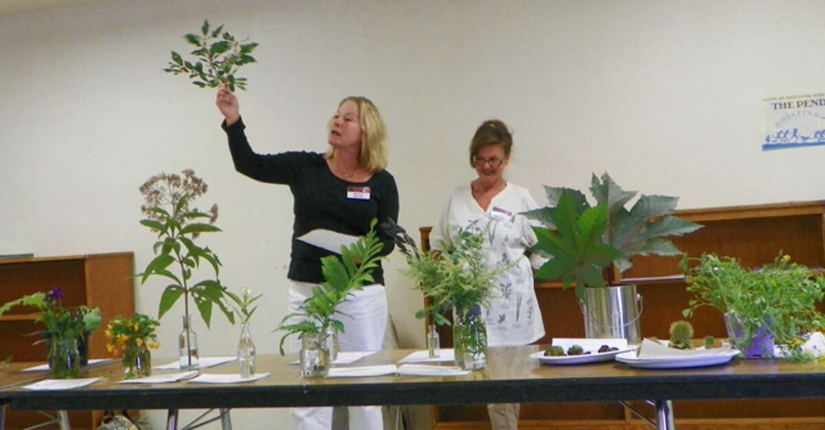 Olde Ripton Garden Club members try to identify plants during last year’s Plant Mystery Day.