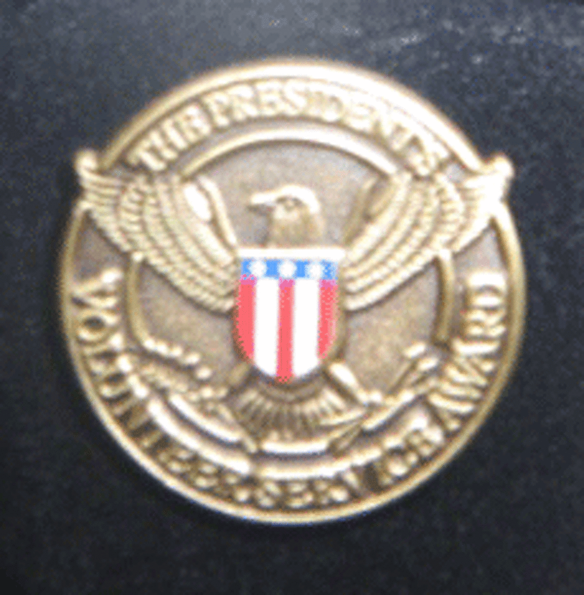 The President’s Volunteer Service Award pin received by Bryce Bliska.