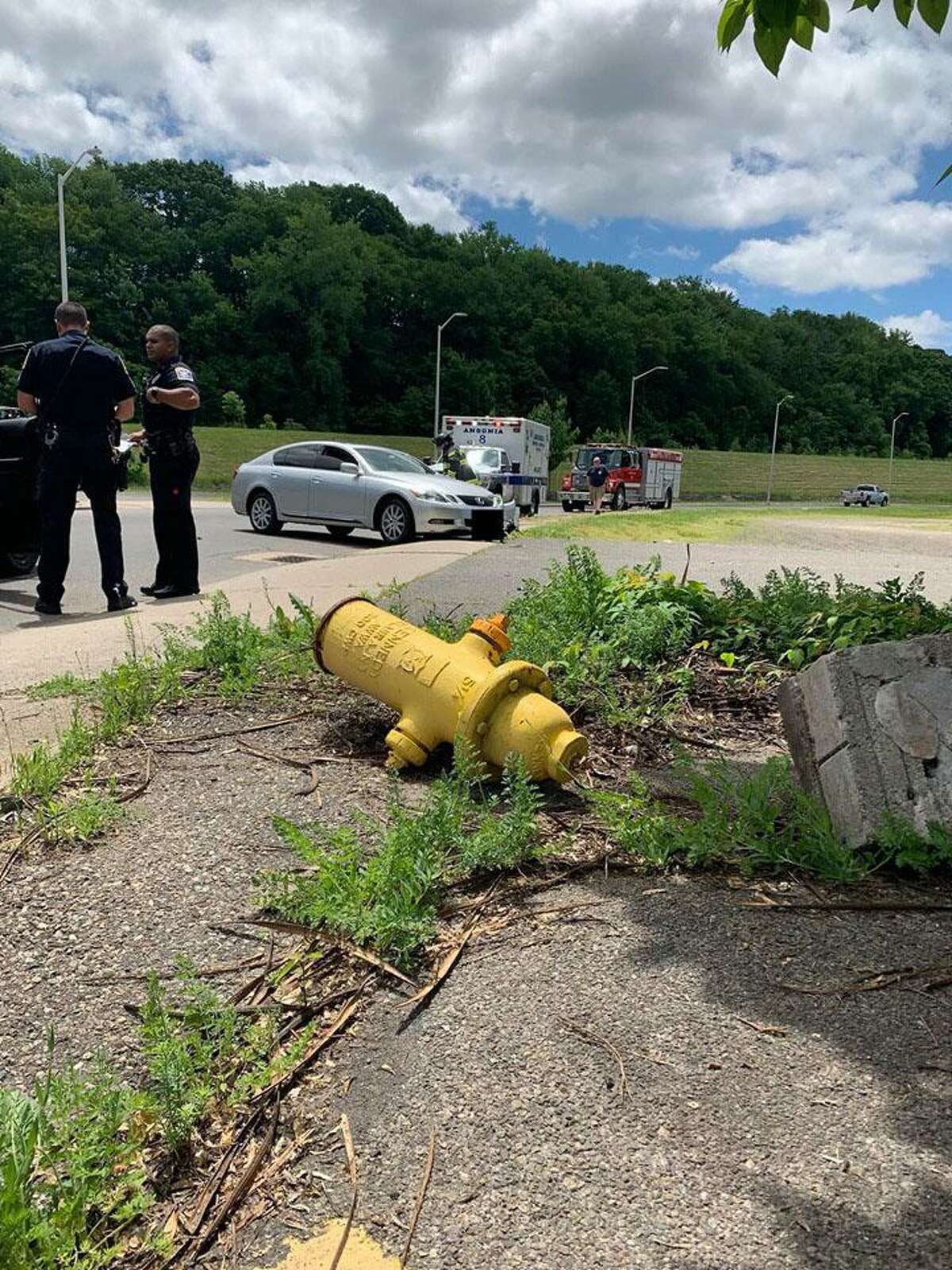 A motorist struck a fire hydrant earlier this afternoon, shearing it from its base and launching it 30 feet away.