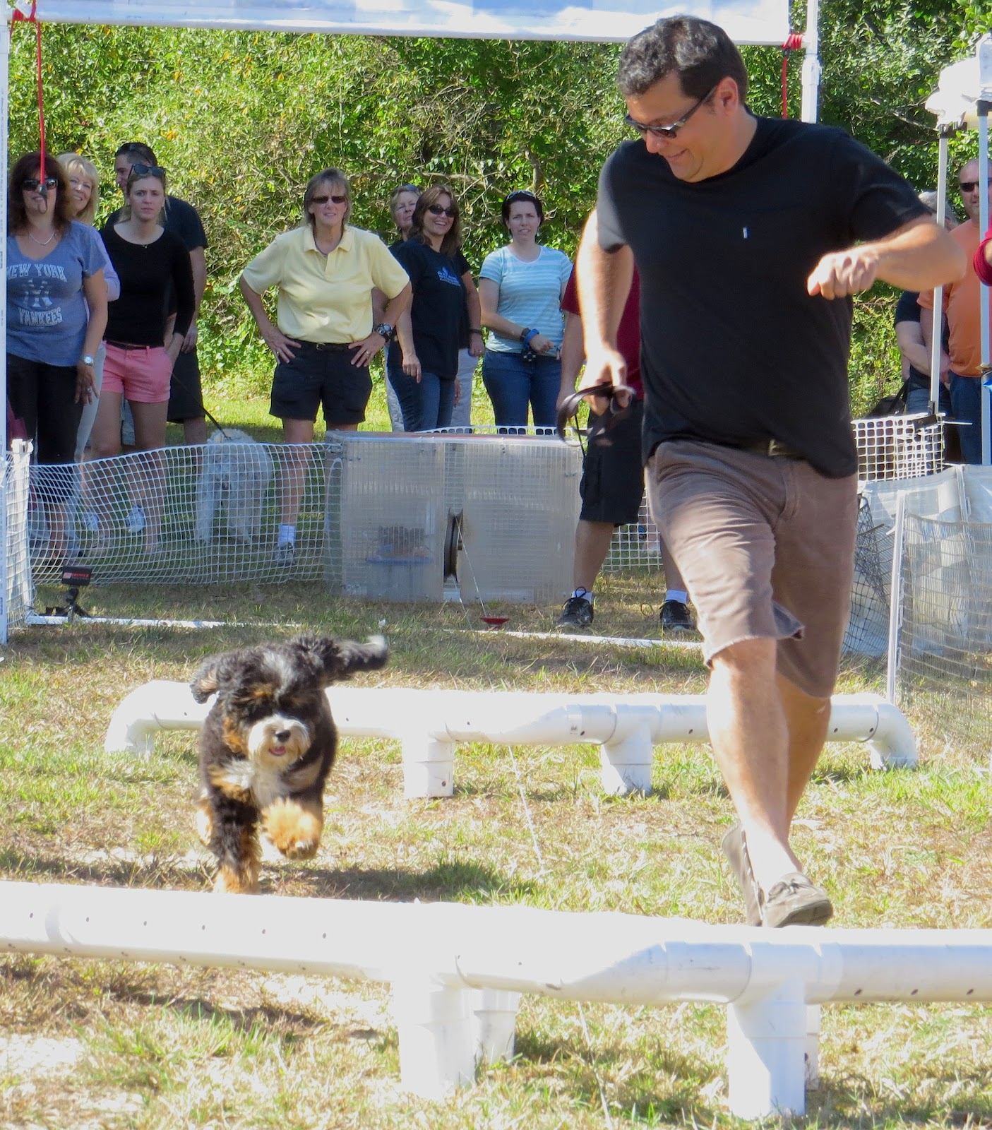K-9 Karnival looks to top record attendance