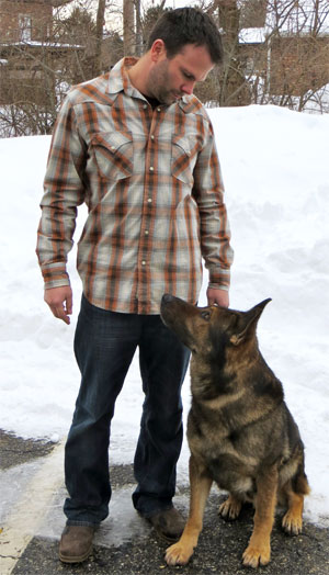 grasso german shepherds