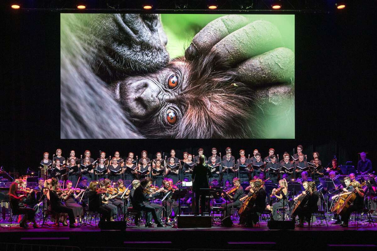 A performance of National Geographic's Symphony for the World