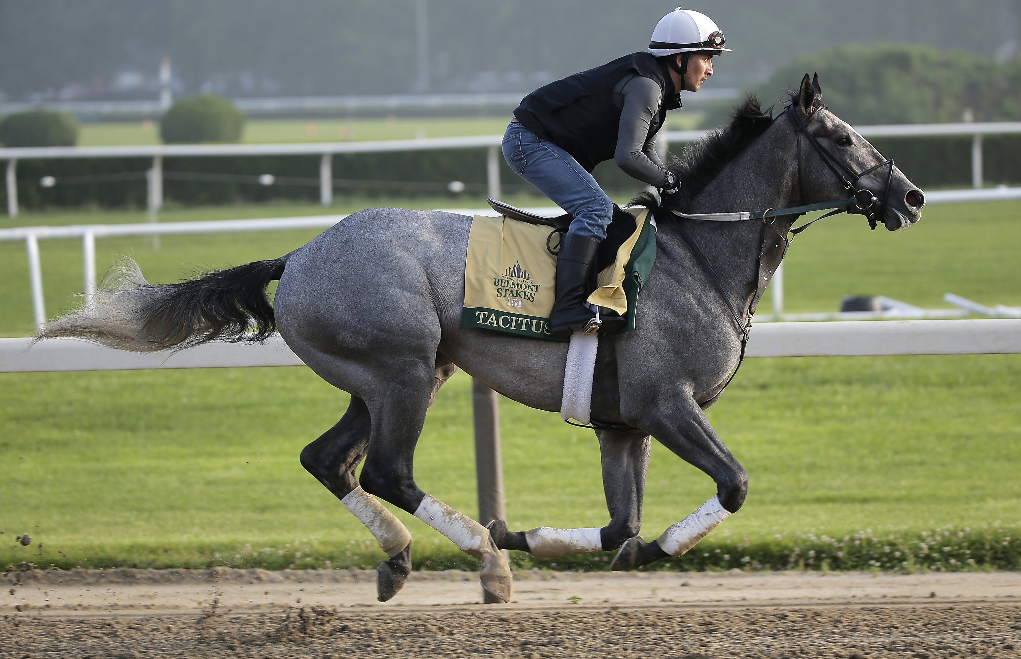 5 things to know about Belmont Stakes day