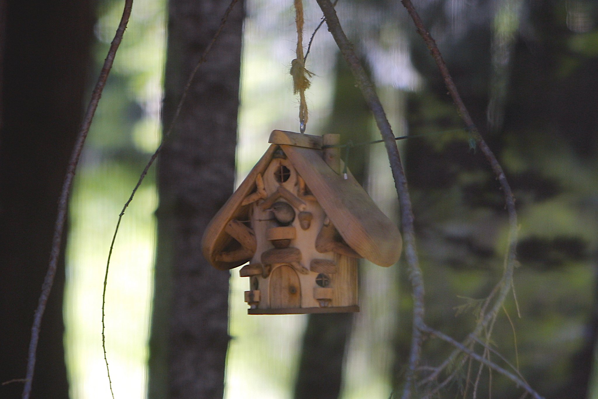 San Francisco 49ers Bird Feeder