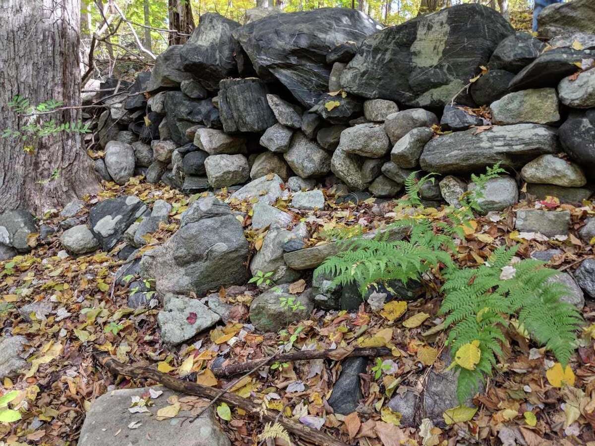 Greenwich Land Trust adds acreage; Greenwich Hospital honored