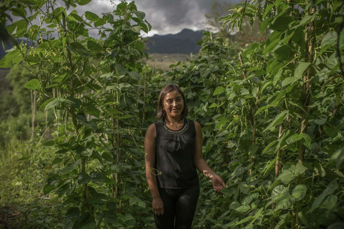 Lesly Cano Gómez on her plot in the village of Chichalum, in the rugged Huehuetenango region of northern Guatemala, May 26. People here say that when President Donald Trump thunders about migrants, he isn’t scaring people away, but rather is sparking more discussion about migration.