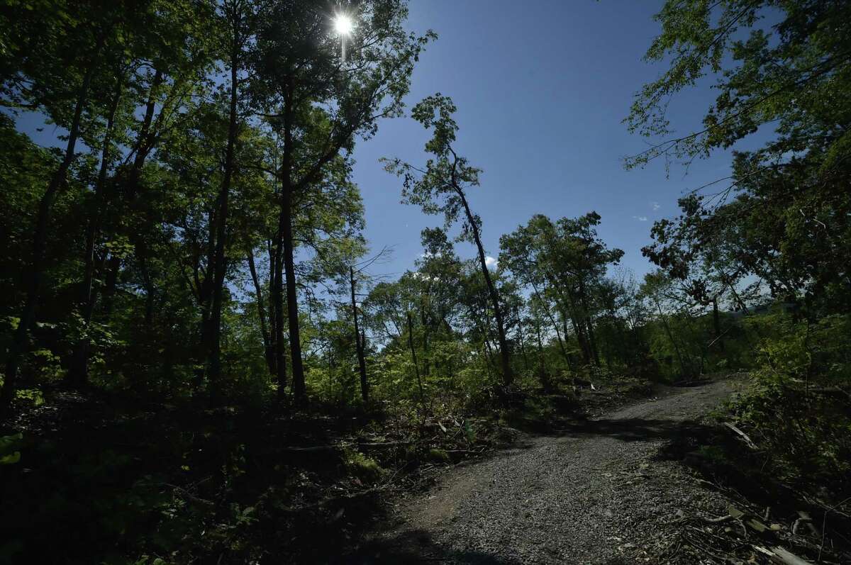 Hamden, Connecticut - Thursday, August 2, 2018: Sleeping Giant State Park, hit hard by a tornado in May, has gone a long way in clearing downed trees on the Tower Trail and the Pine Grove picnic area is still in the difficult process of cleaning up the heavily damaged area. The tower trail needs to be widened so heavy equipment can clear the logs and debris stacked along the trail, says Chris Collibee, Connecticut Department of Energy and Environmental Director of Communication. The trail will also be safer for hikers, first responders and park staff and the Pine Grove picnic area needs to be seeded with grass, Collibee says