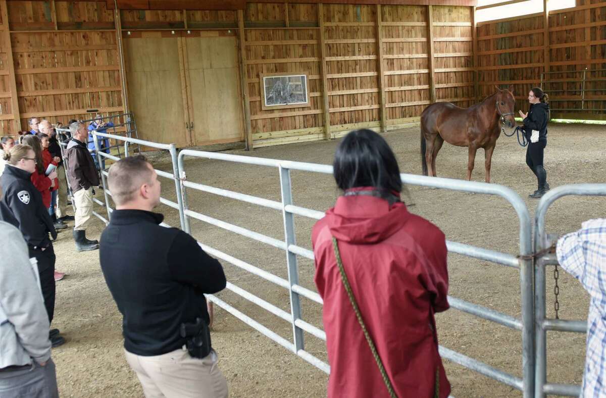 Photos Police learn how to investigate horse cruelty cases