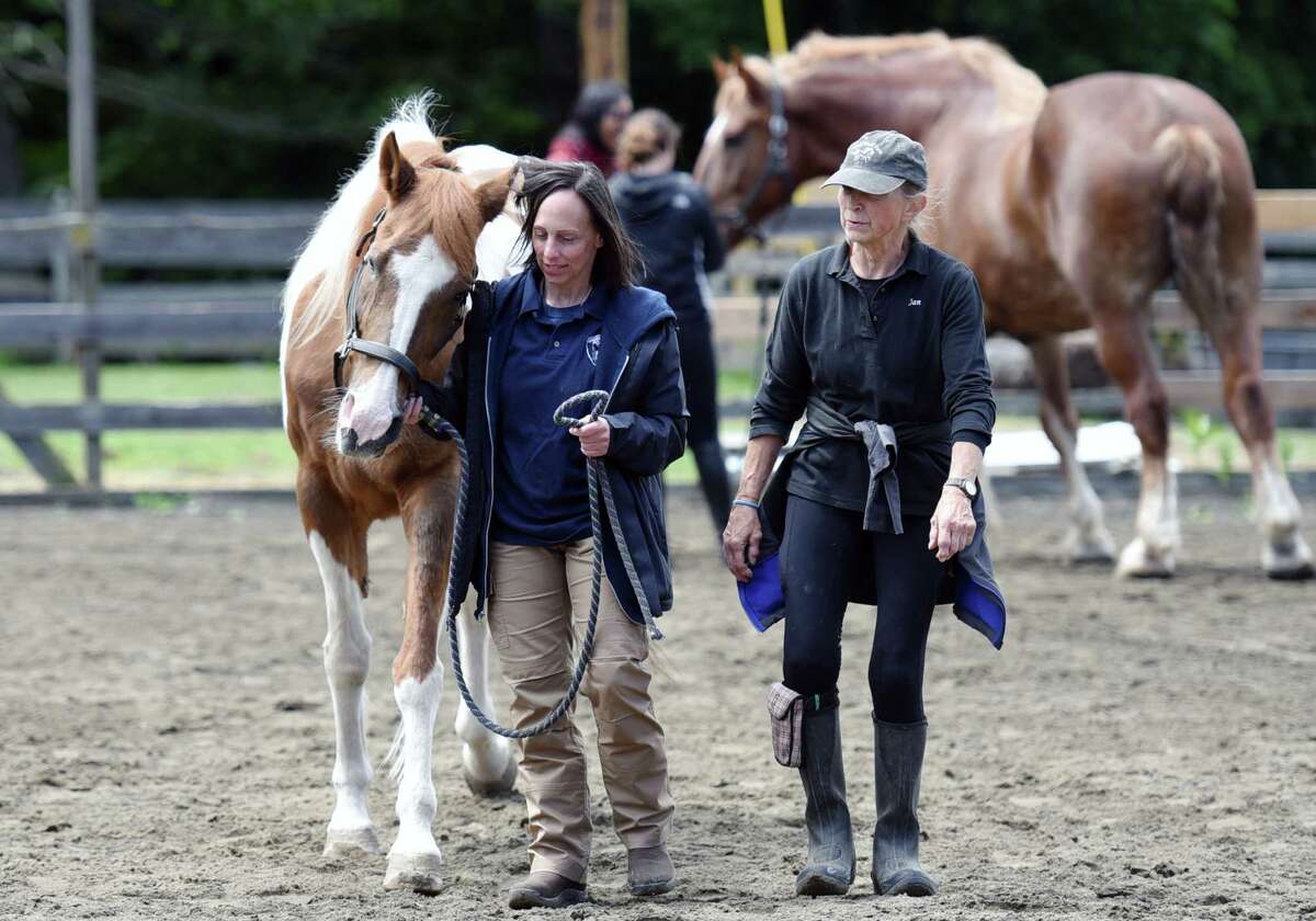 Photos Police learn how to investigate horse cruelty cases