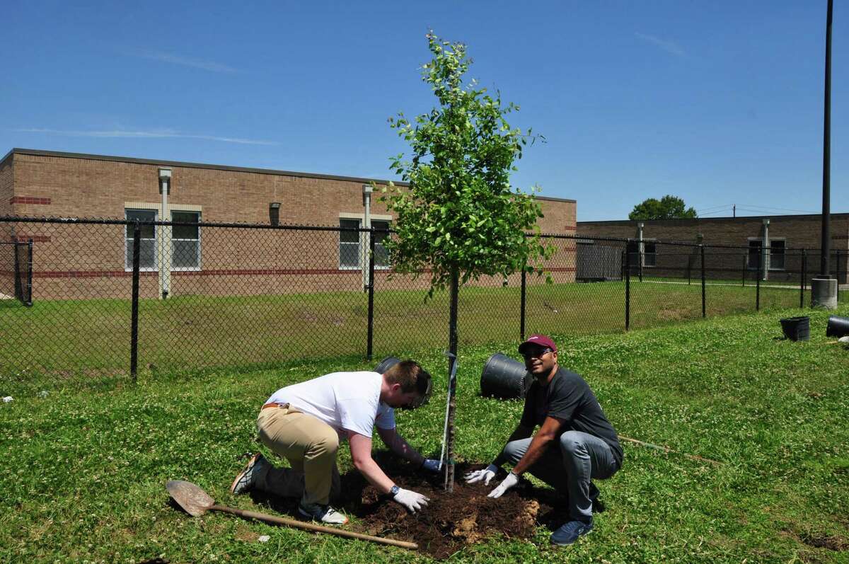 Trees For Houston wraps up spring planting season