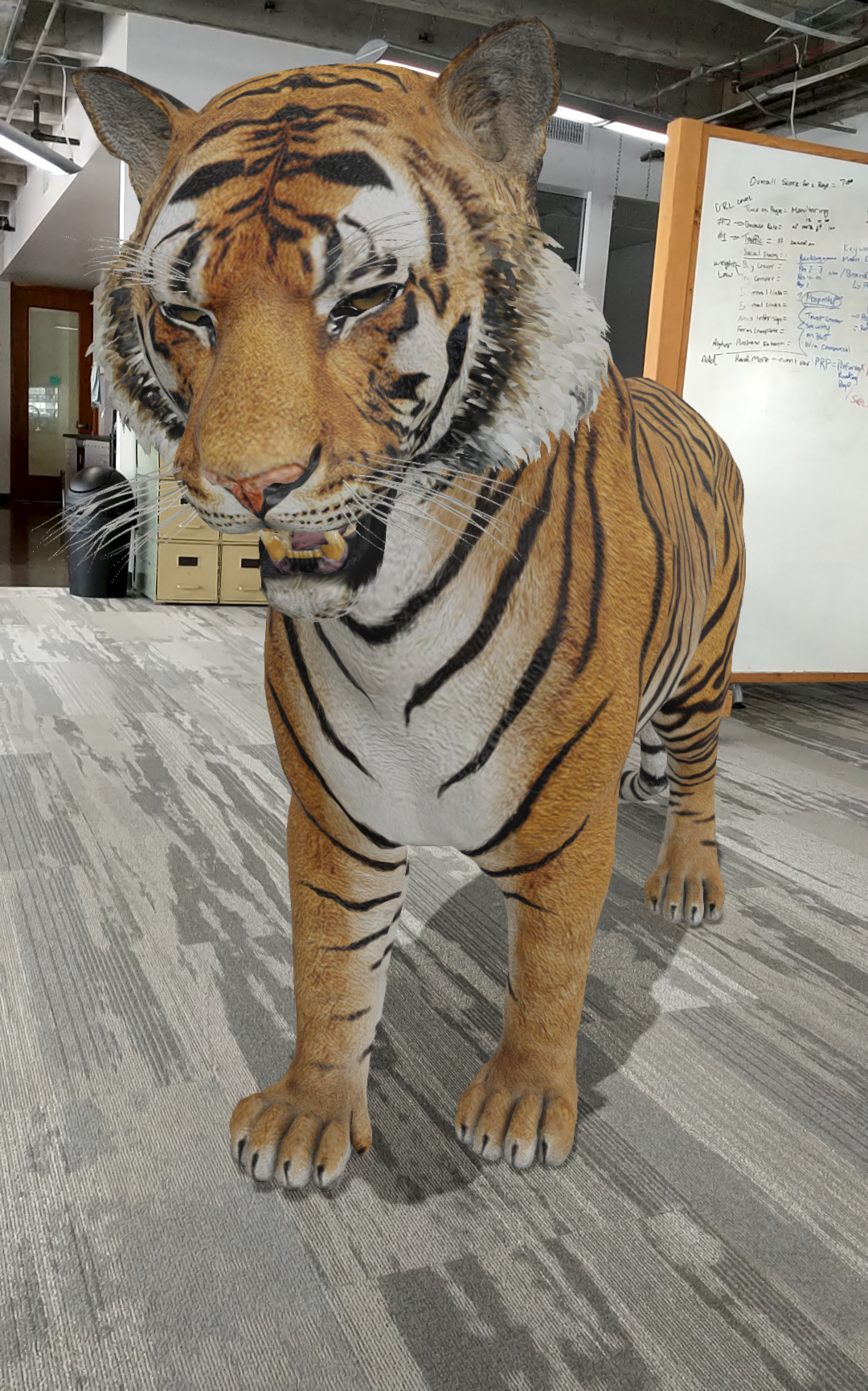 Here's how to look at life-size animals in AR through Google