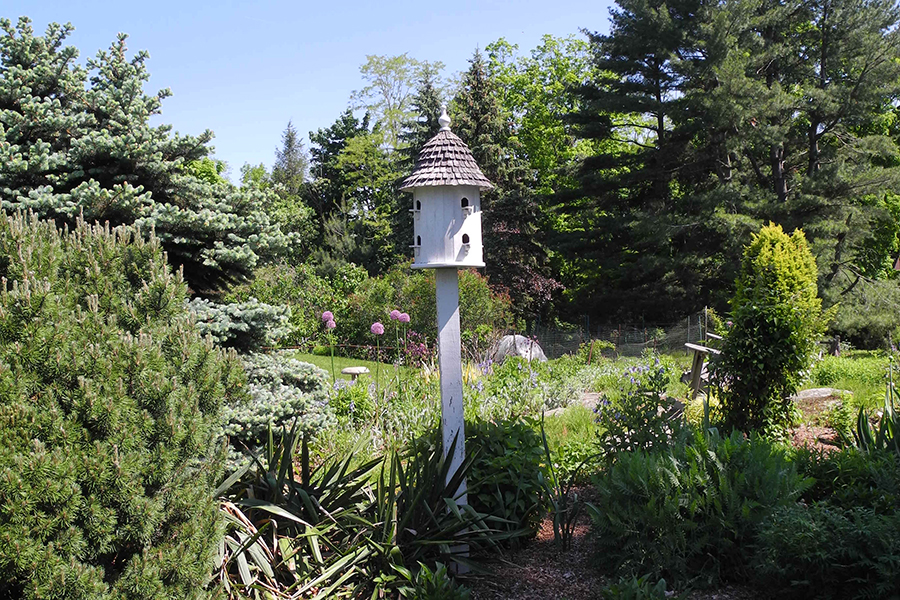 Pixie Perennials welcomes visitors - Vimarsana News