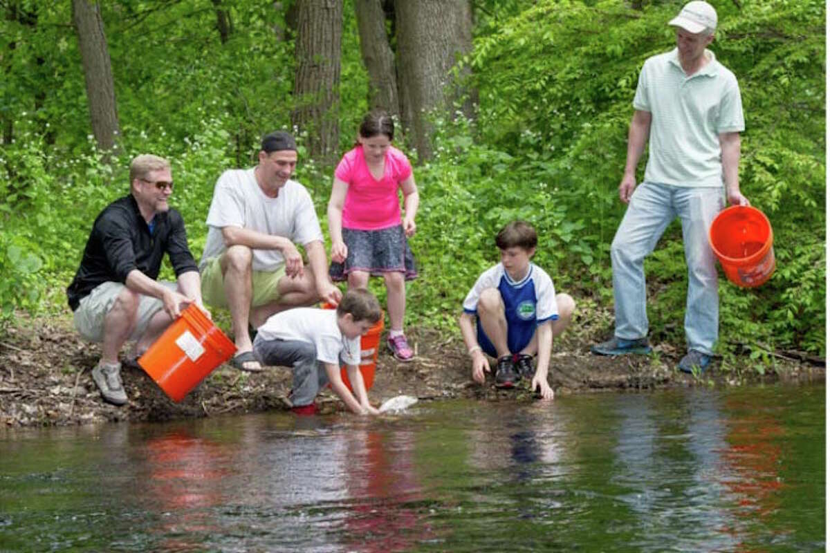 The Mianus chapter of Trout Unlimited will host a free Family Fishing Clinic & Kids Trout Stocking on Saturday, May 12, at Merwin Meadows Park in Wilton. — Lawrence Frank photo